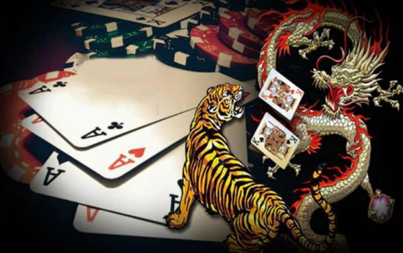 Cách chơi rồng hổ PG88 cho người mới